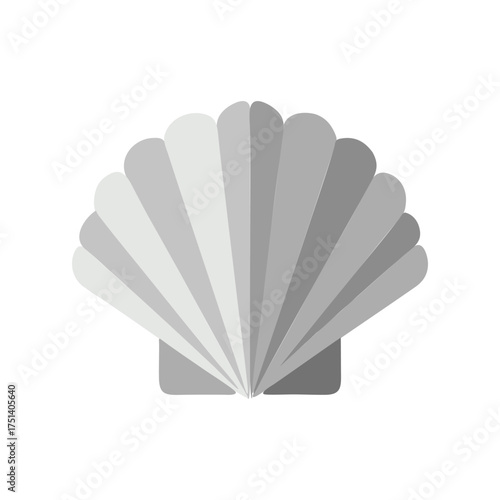 vector seashell isolated on white background