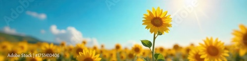 A single, vibrant sunflower bravely reaching towards the sun, symbolizing resilience and the growth of optimism against a backdrop of clear blue sky , plant, uplifting