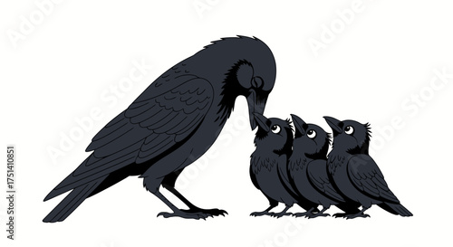 A large black crow parent feeding its three small chicks.