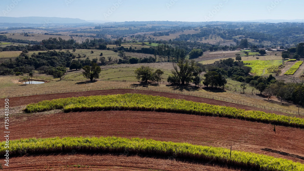 Fototapeta premium Sao Benedito Das Areias Skyline At Mococa In Sao Paulo Brazil. Countryside City. Rural Cityscape. Sao Benedito Das Areias Skyline At Mococa In Sao Paulo Brazil. Agriculture Field. Outdoor Scene.
