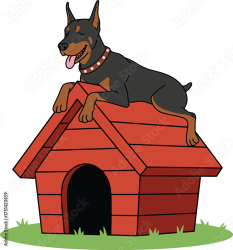 Happy Doberman Dog Relaxing on Red Dog House
