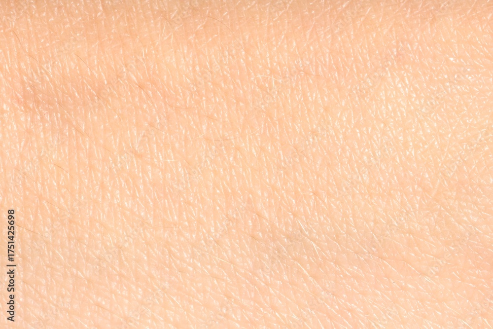 Fototapeta premium Human skin, closeup view. Detailed texture of surface