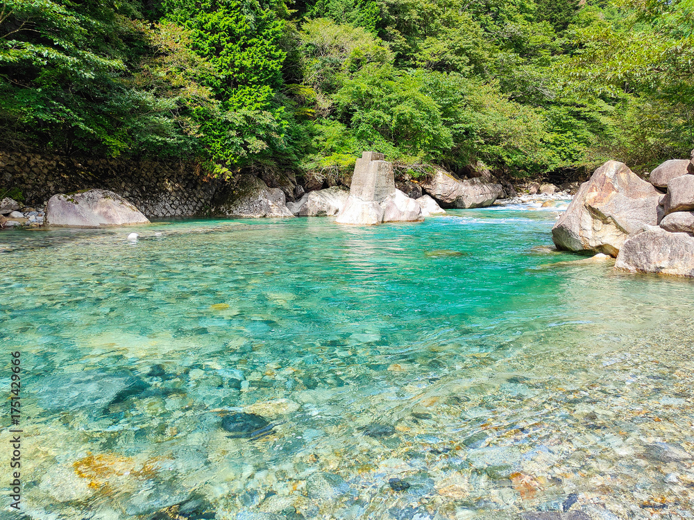 Naklejka premium 阿寺渓谷 夏