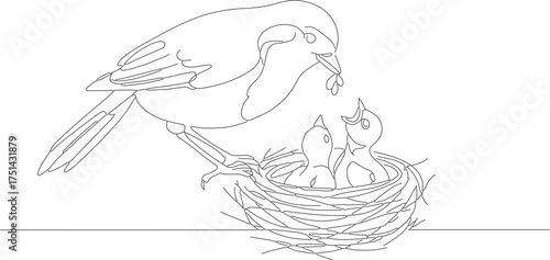 Simple Line Art Bird Feeds Its Chick in Nest Illustration