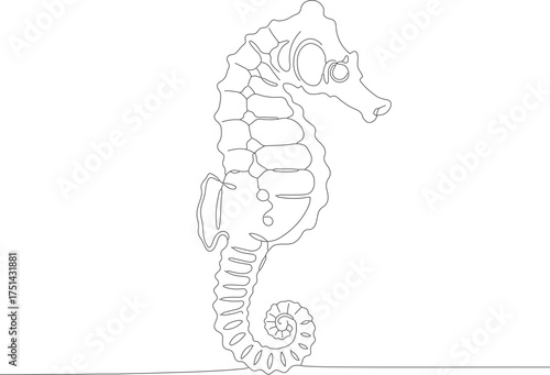 Simple Outline Aquatic Seahorse Shape Illustration Graphic Silhouette Animal