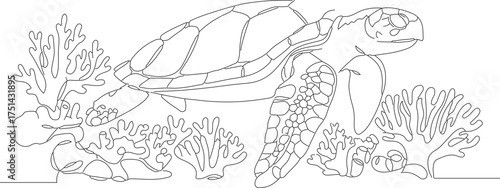 Simple Line Art Turtle with Coral Reef Illustration Outline Design