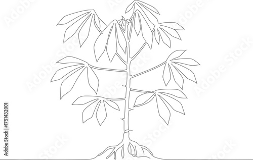 Simple Line Art Cassava Plant with Roots and Leaves Illustration
