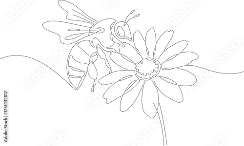 Minimalist Outline Style Bee on Daisy Flower Plant Continuous Line Drawing