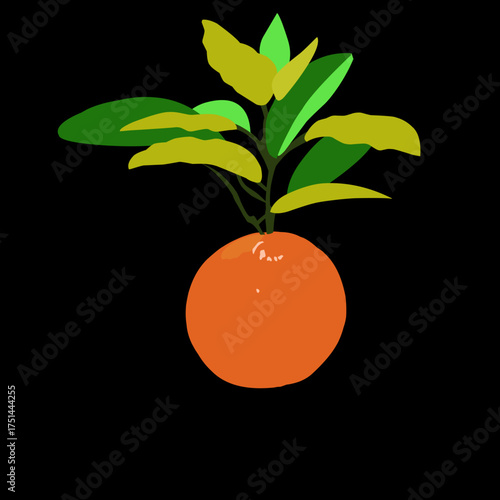 illustration of a very sweet orange