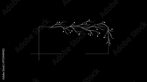Elegant Branch Frame Animation on Black Background for Creative Projects.