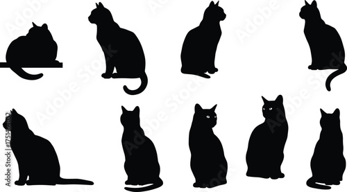 Black cat silhouettes collection, multiple sitting and resting cat poses, isolated vector illustration, domestic feline artwork for decoration and design