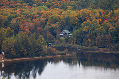 autumn landscape with lake