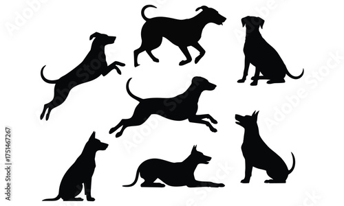 Dog silhouettes set in various poses isolated on white background for design
