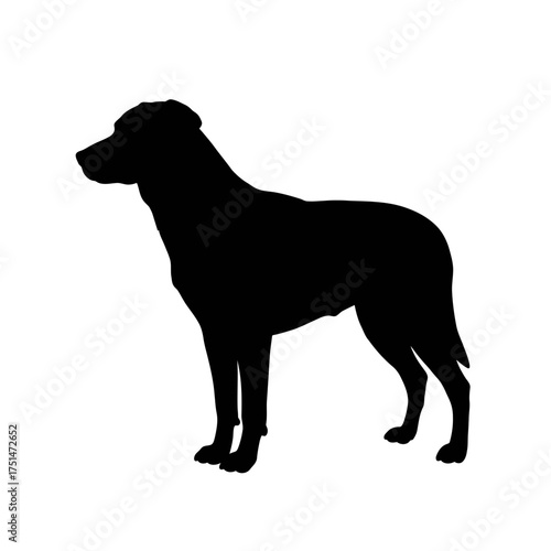 Silhouette of a robust dog standing alertly with its head turned to the left profile view isolated on white background Vector Illustration