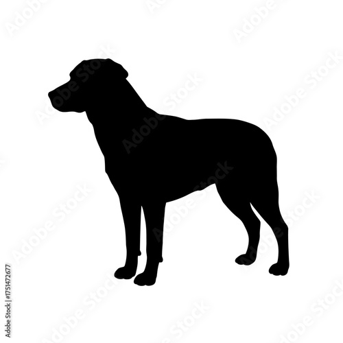 Black silhouette of a large breed dog standing alert profile view majestic canine companion isolated on white background Vector Illustration