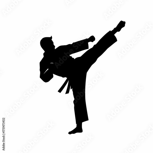Silhouette of a martial artist performing a powerful high kick dynamic action shot isolated on white background Vector Illustration