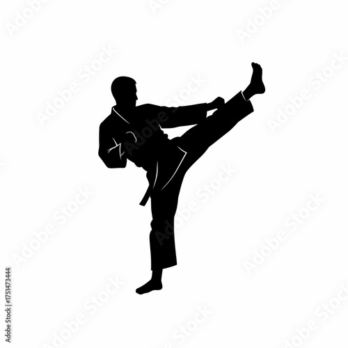 Silhouette of a martial artist executing a powerful high kick in combat sport training demonstration isolated on white background Vector Illustration