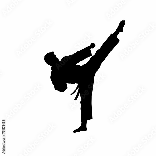 Dynamic silhouette of a martial artist performing a high side kick in karate uniform isolated on white background Vector Illustration