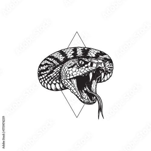 Intense Graphic Vector Art of a Dangerous Coiled Serpent with Fangs and Open Mouth