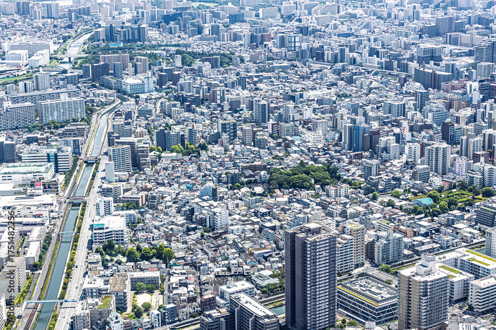 Fototapeta premium 東京スカイツリーから見た景色