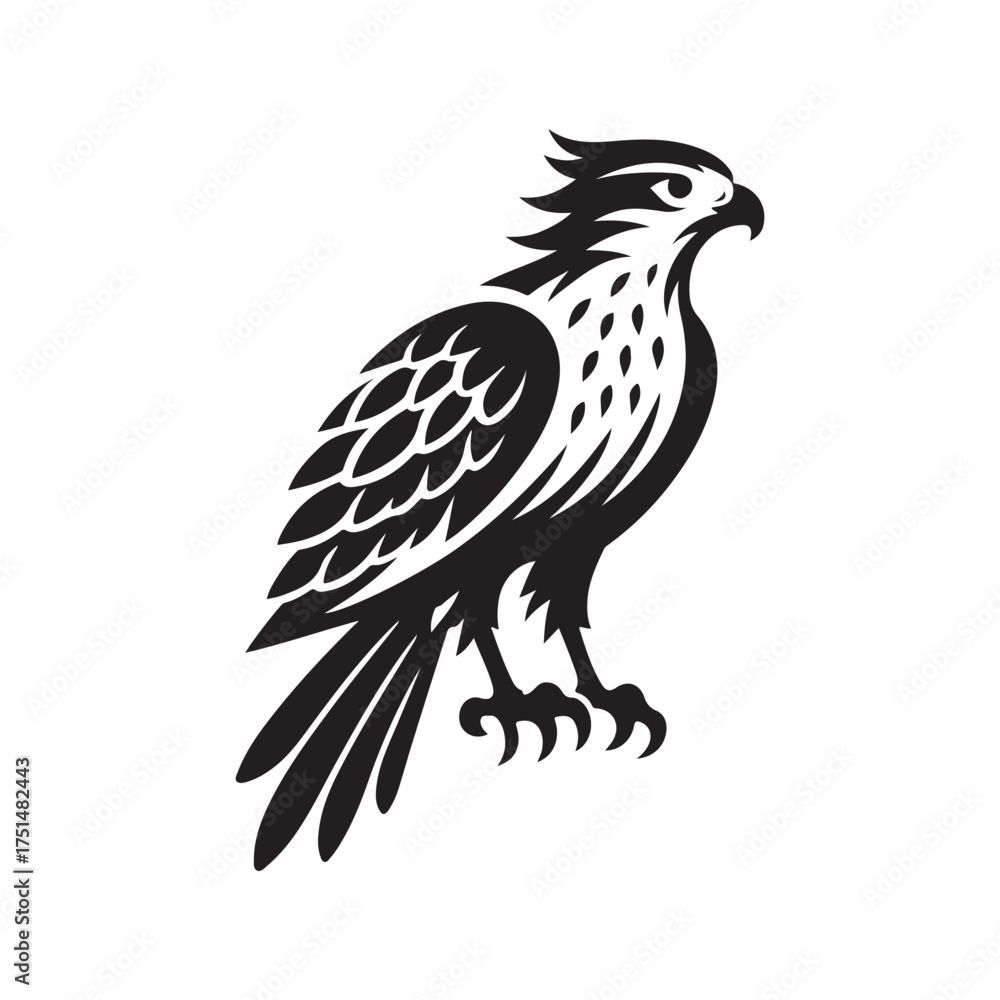 Fototapeta premium Stylized black and white illustration of a perched falcon