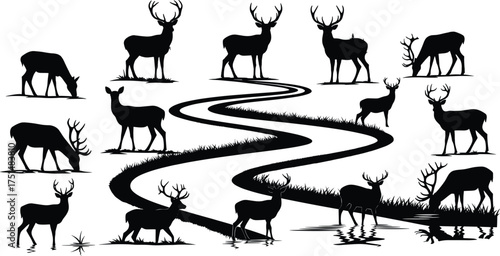 Canvas Print Silhouette of deer near river, wildlife nature scene with antlers, forest landsc