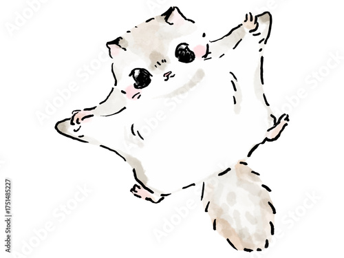 エゾモモンガ　飛ぶ　かわいい絵本風イラスト