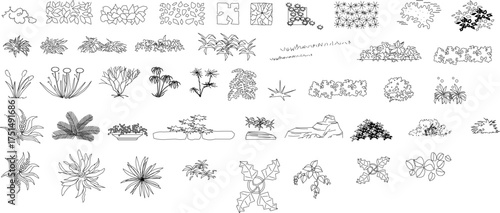 Line-drawn plant and garden elements for landscape design — includes shrubs, flowers, trees, and ground cover in minimalist vector style for architectural plans.