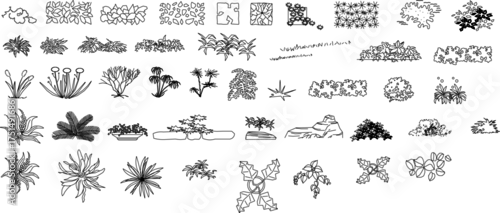 Fototapeta Line-drawn plant and garden elements for landscape design — includes shrubs, flowers, trees, and ground cover in minimalist vector style for architectural plans.