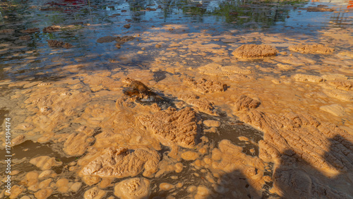 Inundación de la playa el borrego en san blas nayarit 07 10 2025  