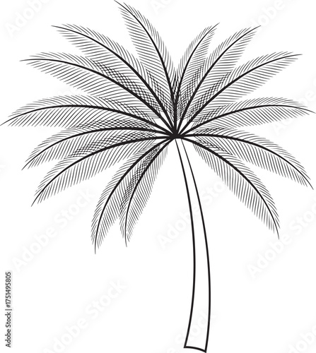 Black and white palm tree fronds and trunk illustration leaf