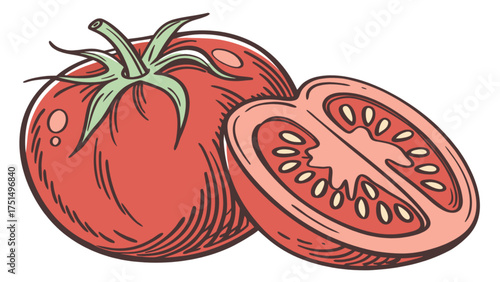 Fresh red tomatoes vegetable drawing illustration clipart vector graphics healthy food ingredient design
