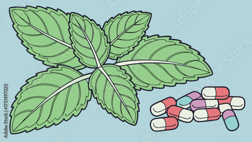 Explore alternative medicine mint leaves and capsules for natural health and wellness remedies