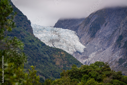 beautiful walking tract in the forest to see amazing glaciers and take photo Franz Josef glacier South Island New Zealand