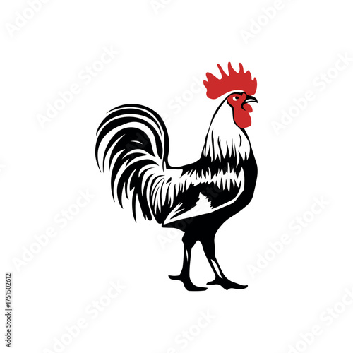 Striking illustration of a proud rooster with a vibrant red comb