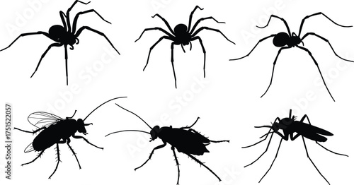 Insect and spider black silhouette vector set, mosquito, cockroach, housefly, spider icons, pest control illustration, isolated bug collection.