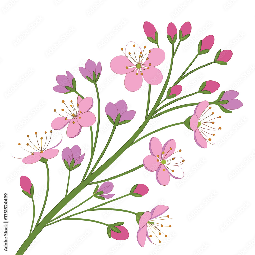 custom made wallpaper toronto digitalPlum Blossom Branch Art. Spring Floral Design Presenting Pink Flowers and Buds with Green Foliage on a Transparent Surface –Detailed Botanical Illustration.