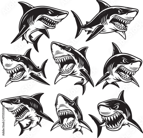 Fierce Shark Collection