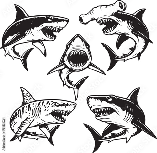 Aggressive Shark Heads Collection