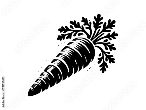 Rustic woodcut style carrot with green leaves organic vegetable healthy food design element