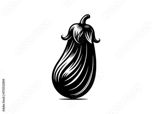 Vintage engraved eggplant vegetable art isolated silhouette healthy food ingredient organic produce