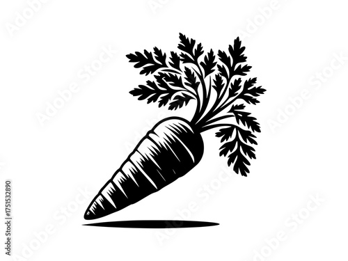 Rustic hand drawn carrot with green leaves stylized organic vegetable icon isolated on white