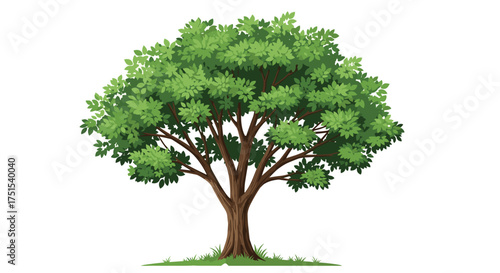 A vibrant green deciduous tree stands tall on a small patch of grassy ground.