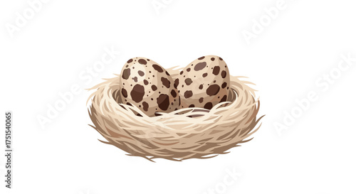 A cozy nest with two speckled eggs waiting for new life to begin.
