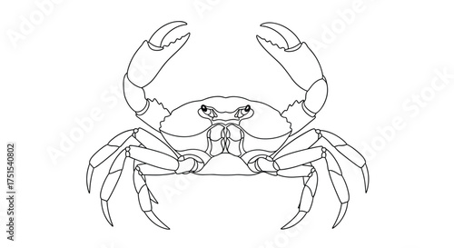 Outline drawing of a crab with claws raised in a defensive posture.
