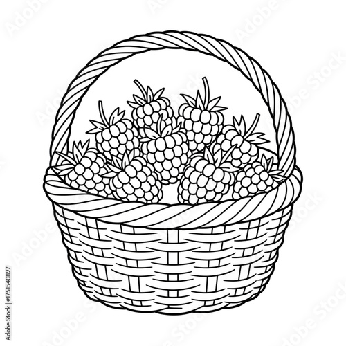 Raspberries inside the basket illustration of a coloring page