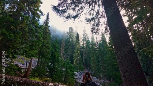 A young girl captures the beauty of a scenic cedar forest with her camera, immersed in the tranquil Washington wilderness