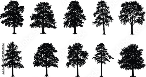 Variety of deciduous tree silhouettes collection, forest nature vector illustration, black trees design for landscape art and environmental projects