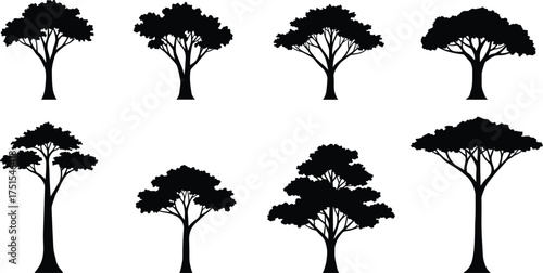 Set of African acacia tree silhouettes, tropical savanna black tree vector collection, isolated nature illustration for forest and landscape design