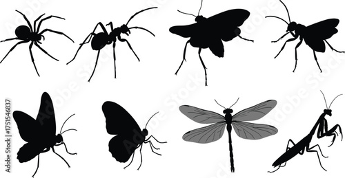 Set of insect and spider silhouettes isolated on white background, vector bugs, butterfly, dragonfly, praying mantis, realistic black shapes